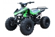 Cheetah 125cc Quad Bike 8" Fat Boi Tyres  - Green