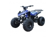 Interceptor 125cc Quad Bike 7" Fat Boi Tyres  - Blue